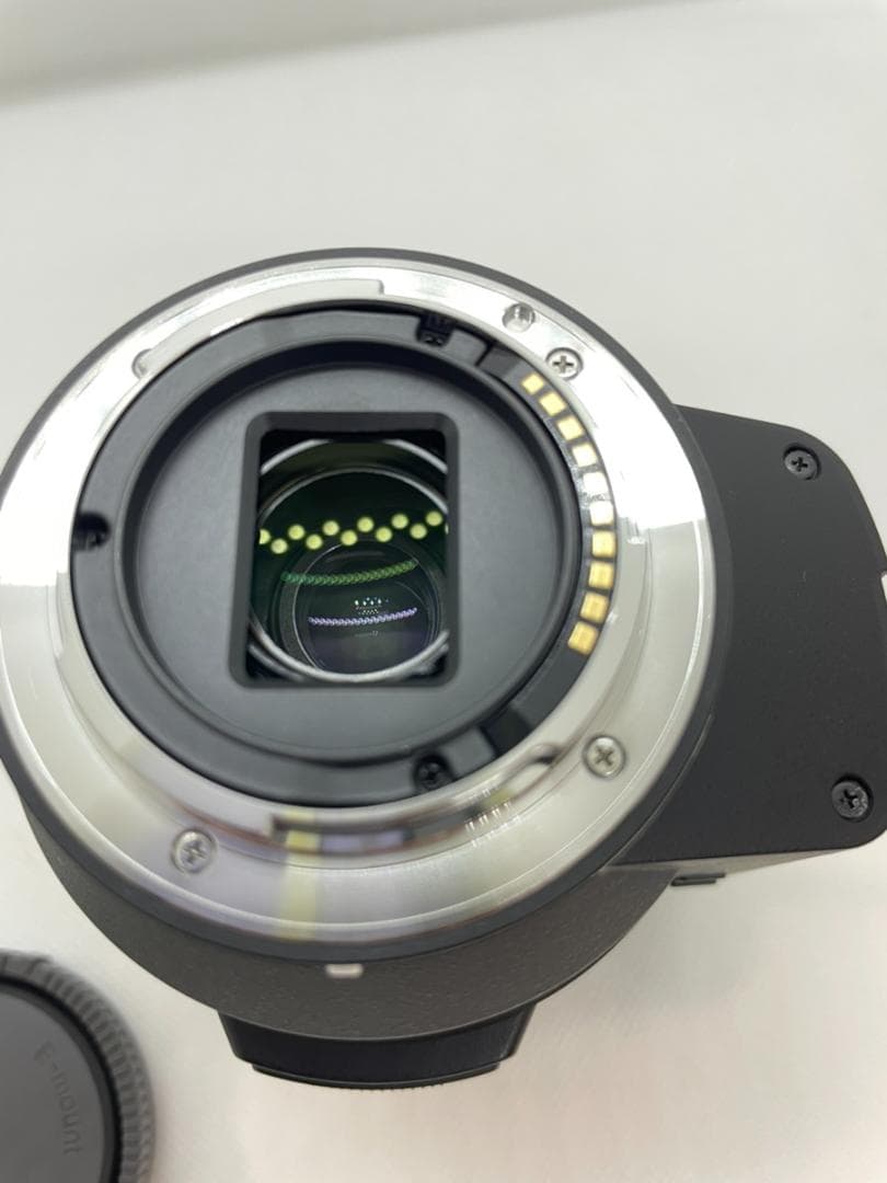 ソニー E PZ 18-200mm F3.5-6.3 OSS SELP18200