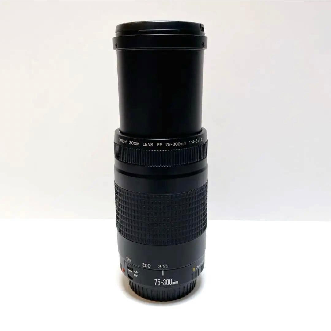【美品】Canon 75-300mm F4-5.6 Ⅱ 超望遠レンズ