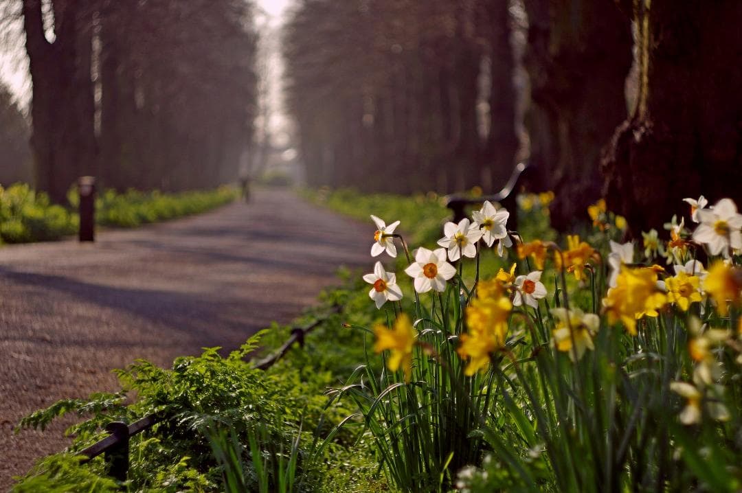 64 【希少】初期型　Helios1950年製造　ヘリオス44　アダプター付