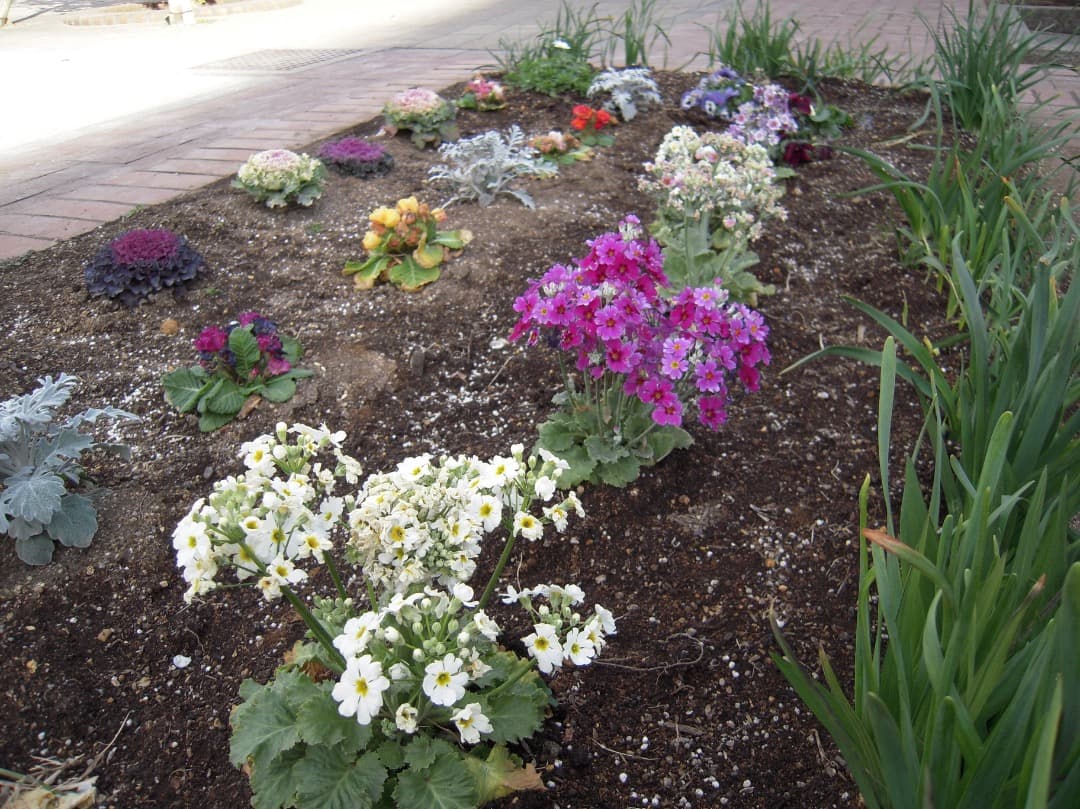 実写美⭕️美品【動作確認済み】Nikon COOLPIX S600 デジカメ