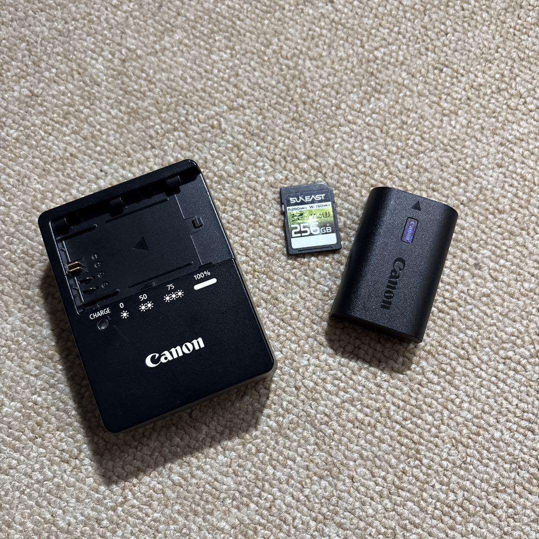 CANON EOS R5C ボディ SDカード・リグ付き