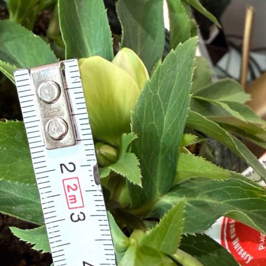 まい様　リクエスト　おまとめ3点