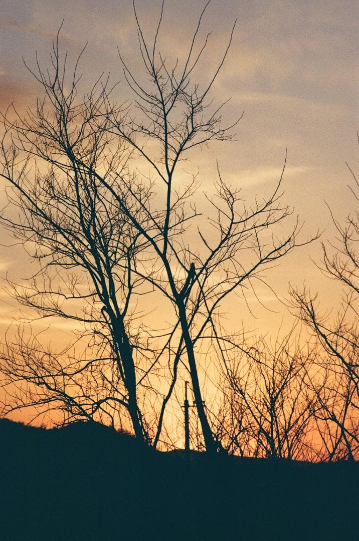 作例あり★フイルム実写OK!／ペンタックス＋レンズPENTAX SP Asahi