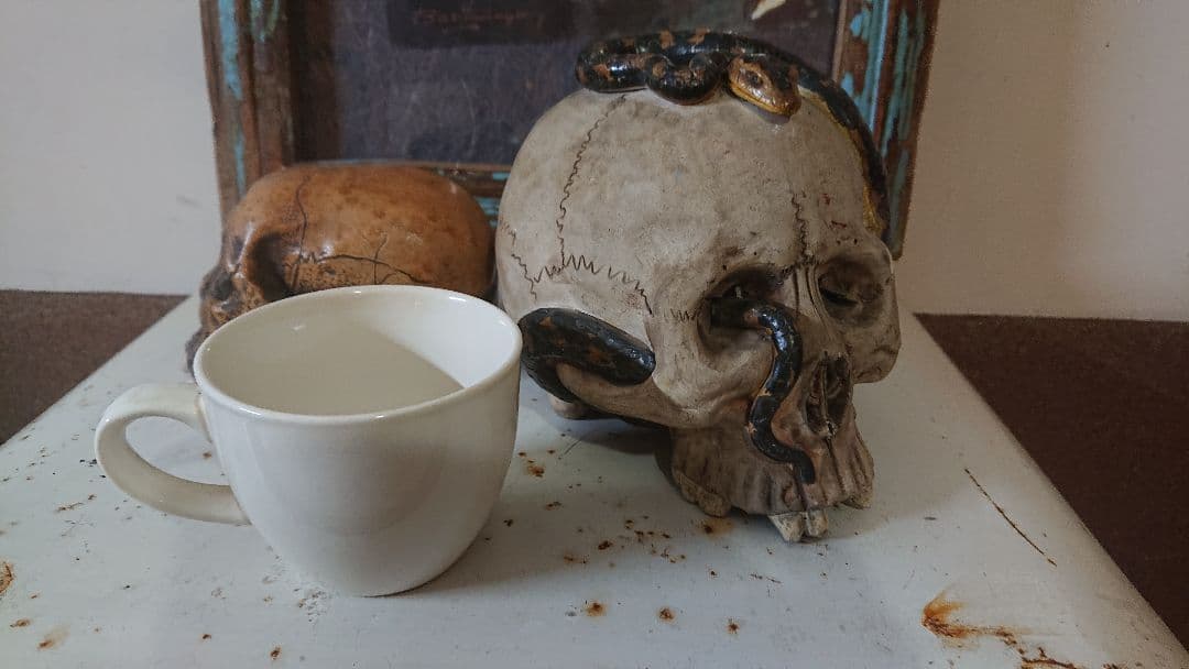 野晒し 髑髏 大