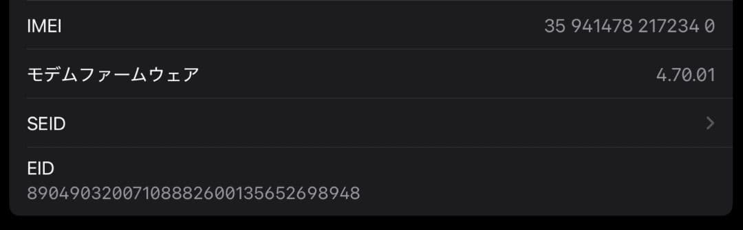 iPad 第10世代 64GB セルラー SIMフリー ブルー 美品