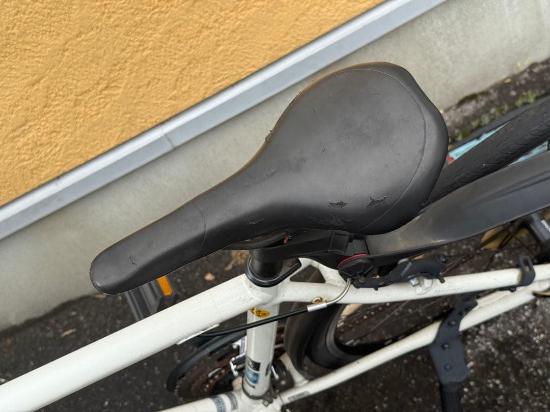 ニ*☆様 ブリヂストン　CYLVA F24 (シルヴァF24) ホワイト クロス