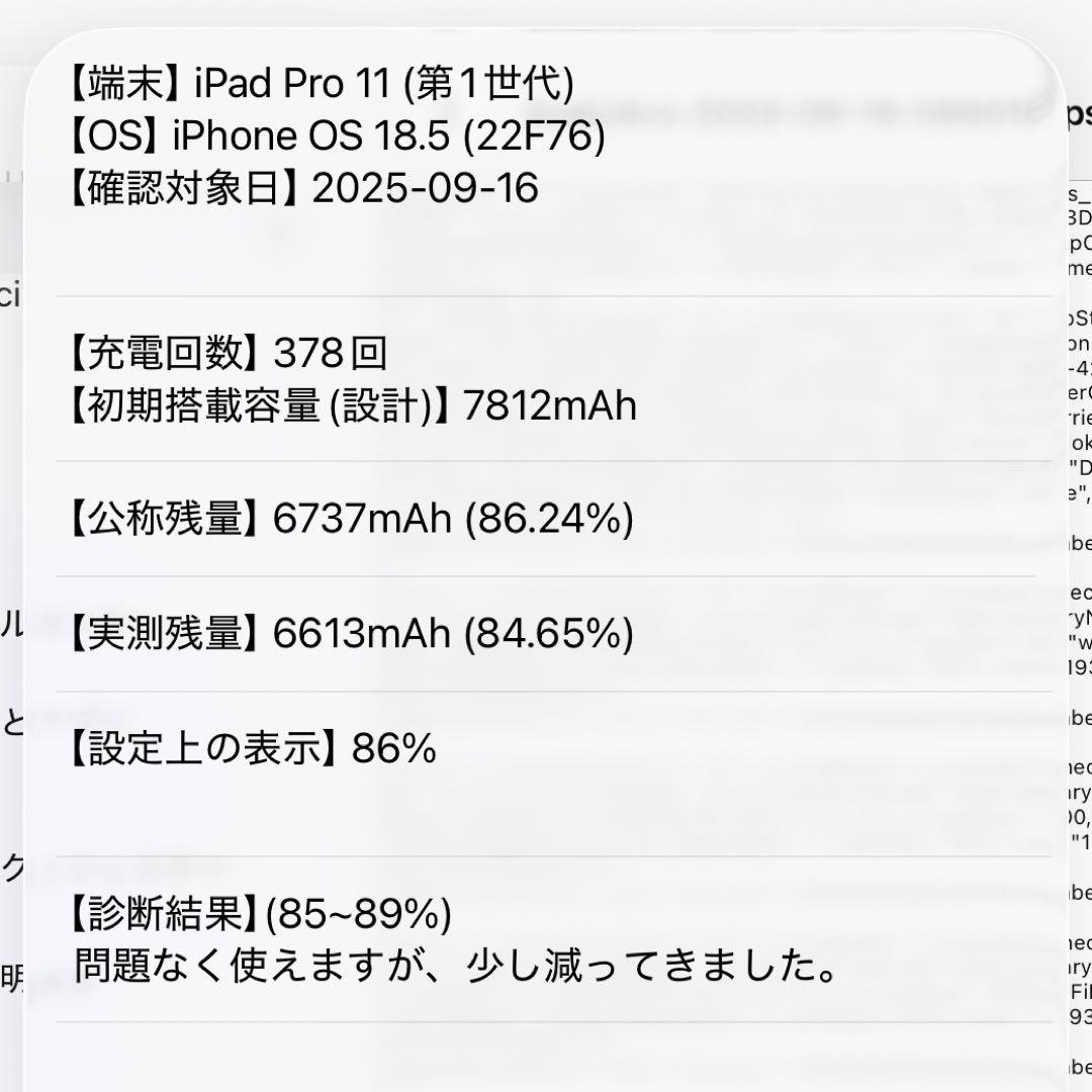 【超美品!!】iPad Pro 11インチ Cellularモデル 256GB