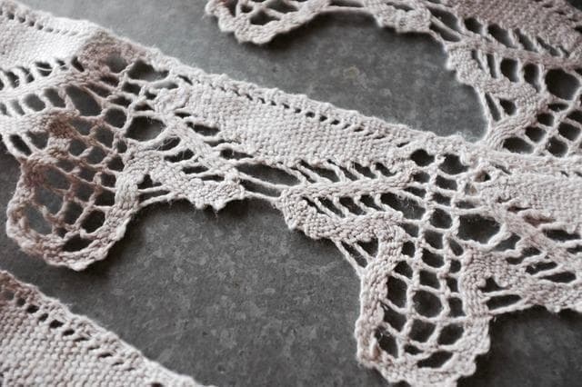 ゆう　小鳥のレース１セット　蝉のレース６m