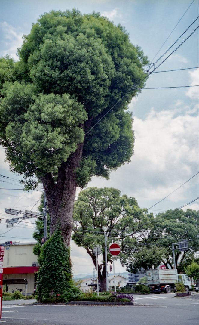 petri color 35 ペトリ カラー 現状品