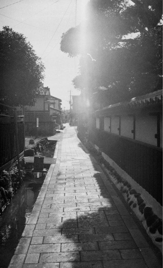 petri color 35 ペトリ カラー 現状品