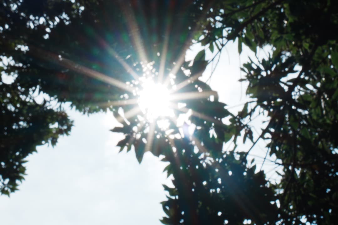 【美品】動作◎ SONY E 35mm F1.8 OSS 神レンズ 870