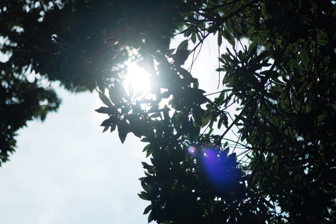 【美品】動作◎ SONY E 35mm F1.8 OSS 神レンズ 870