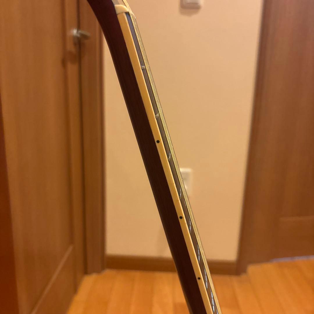 Aria Elecord FET-500 エレクトリック アコースティックギター