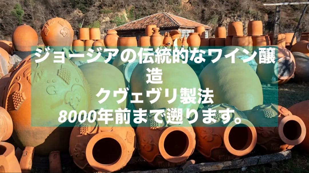 高ポリフェノール　ノンアルコール　ワインティー　100g粉末入り　２本セット