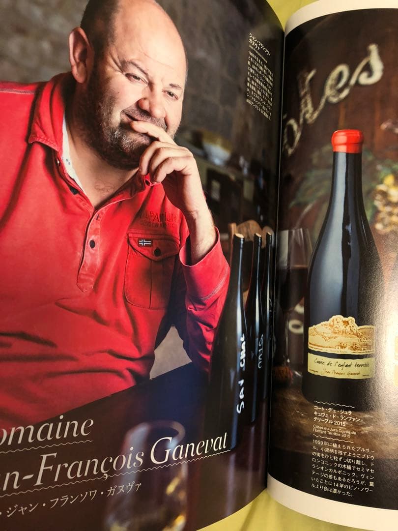 ジャン・フランソワ・ガヌヴァ プールサール ランファン・テリーブル2015