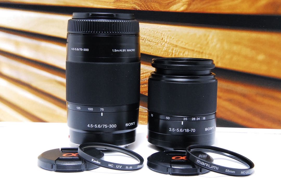 ダブルレンズ SONY α200 一眼レフ 手ぶれ補正 ソニー 望遠 初心者