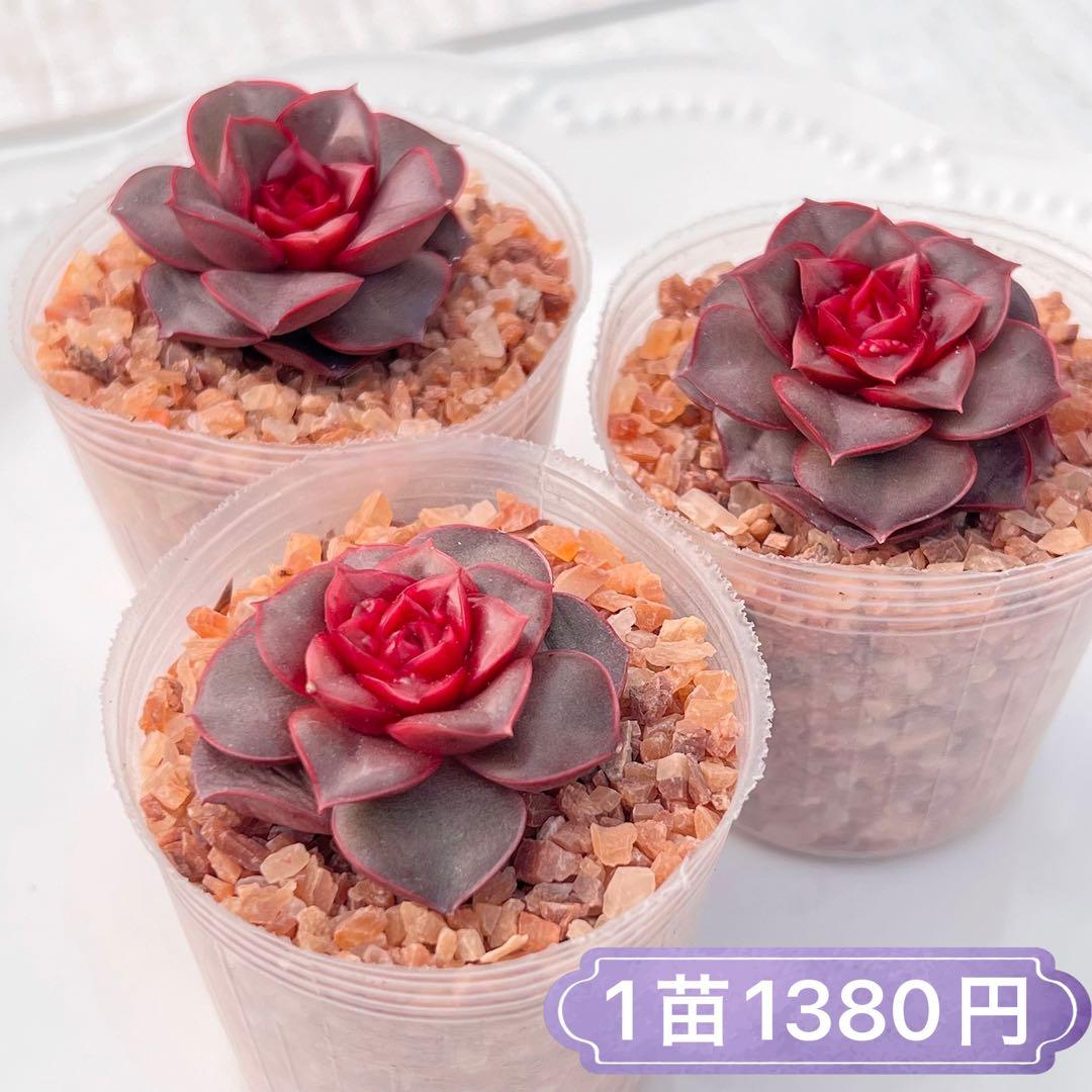 アメブル