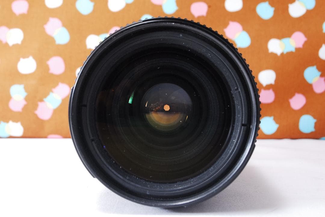 ✨お安くデビュー✨ショット数5056回✨Nikon D70 レンズセット