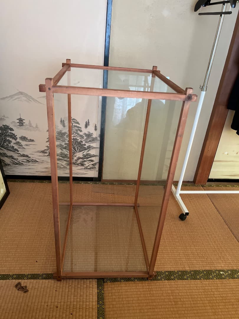 蜂の巣　ガラスケース付き