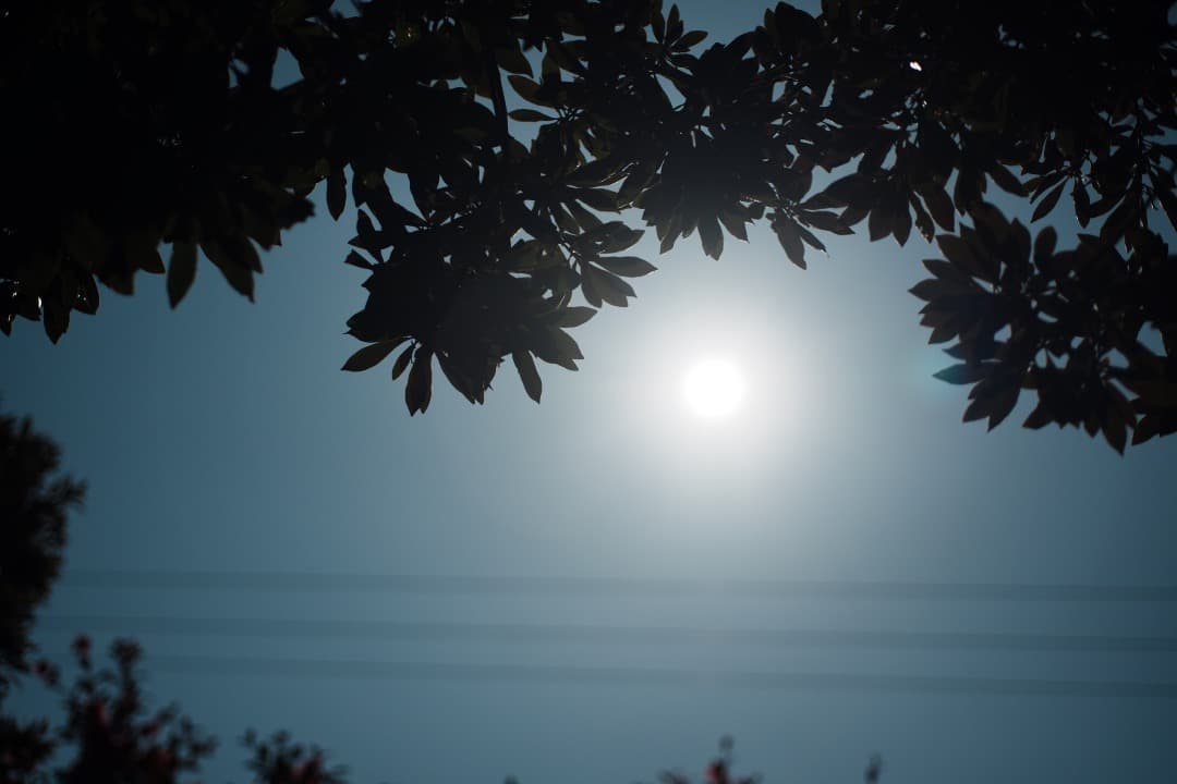 美品 AF Ai Micor-Nikkor 60mm F2.8D 721