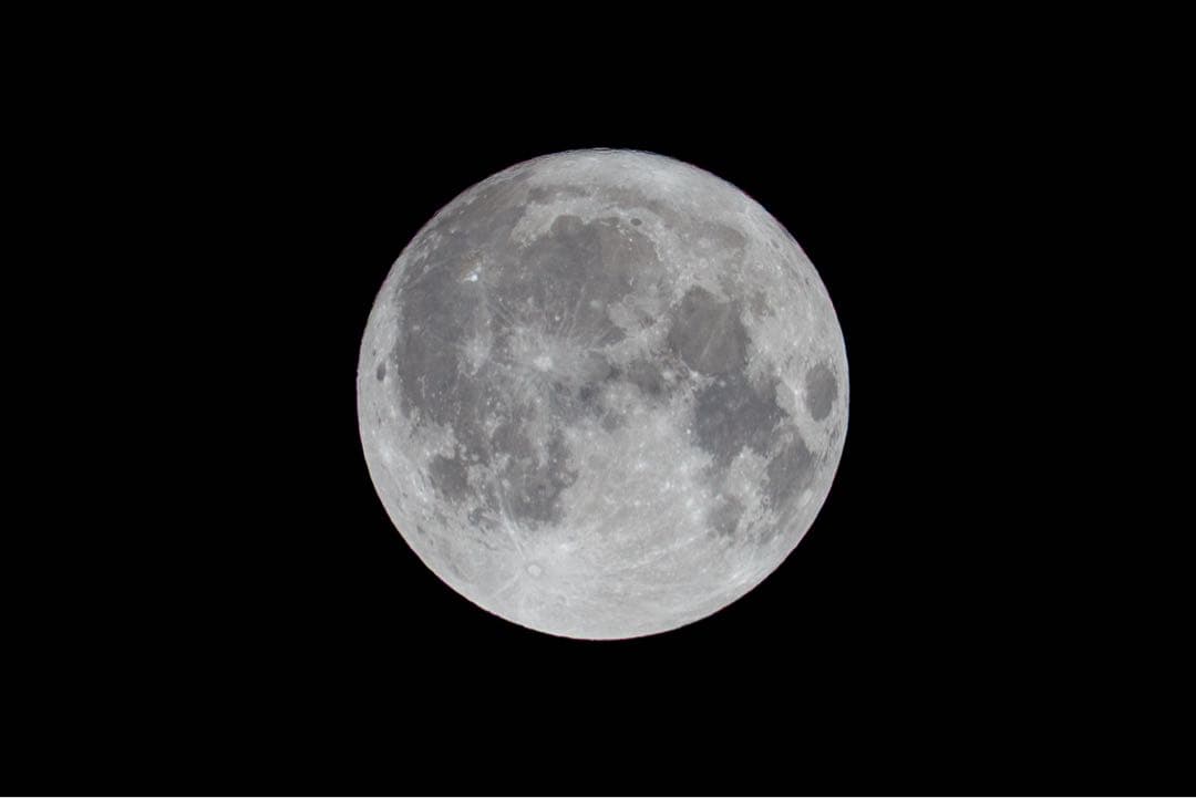 TAMRON SP 150-600/5-6.3 キヤノン Di VC USD