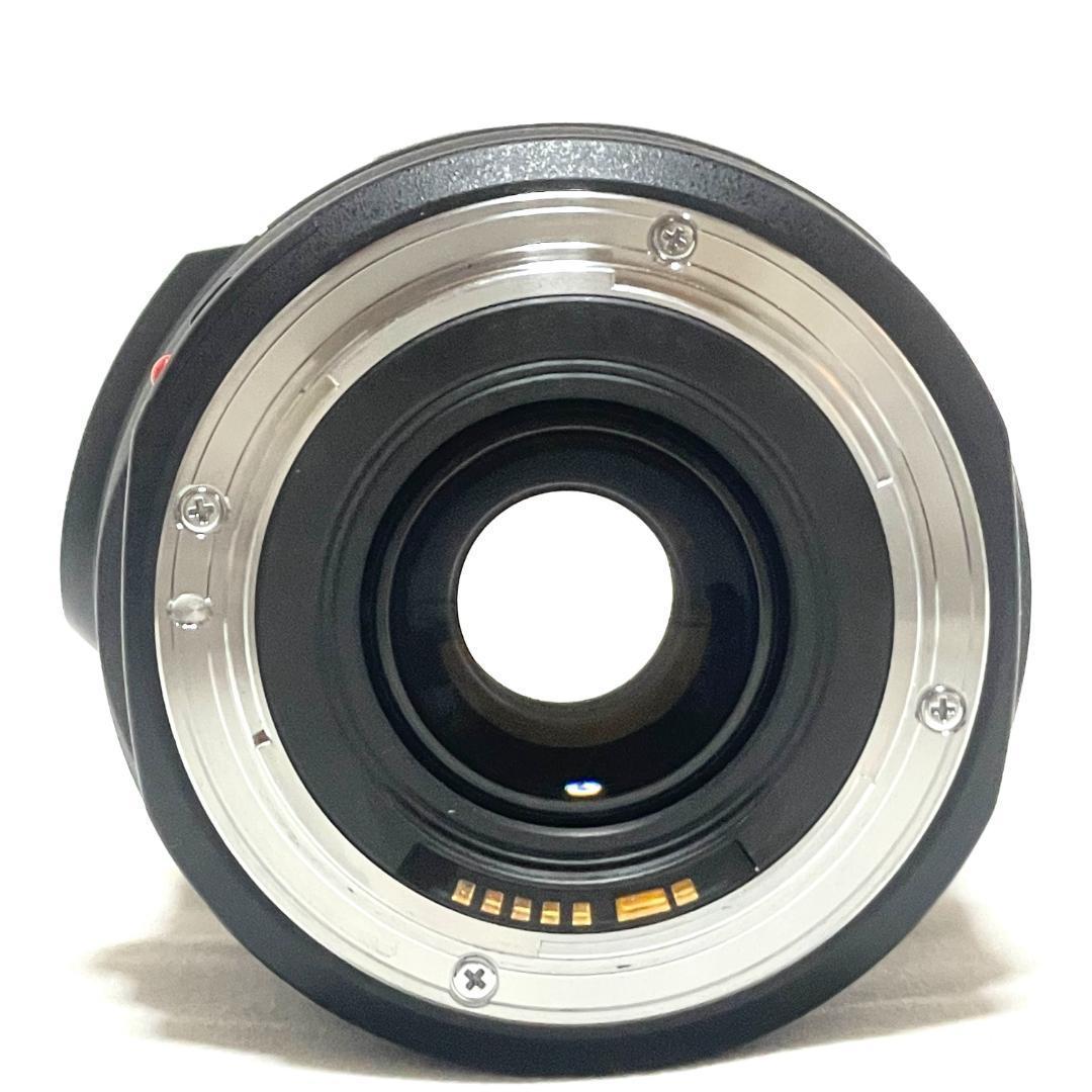 動く一瞬を捉える❣️ Canon EF 75-300mm IS USM 超望遠