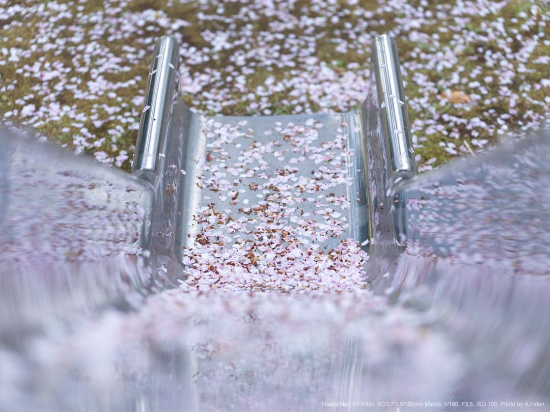 hasselblad xcd 120mm f3.5 macro 619,300円