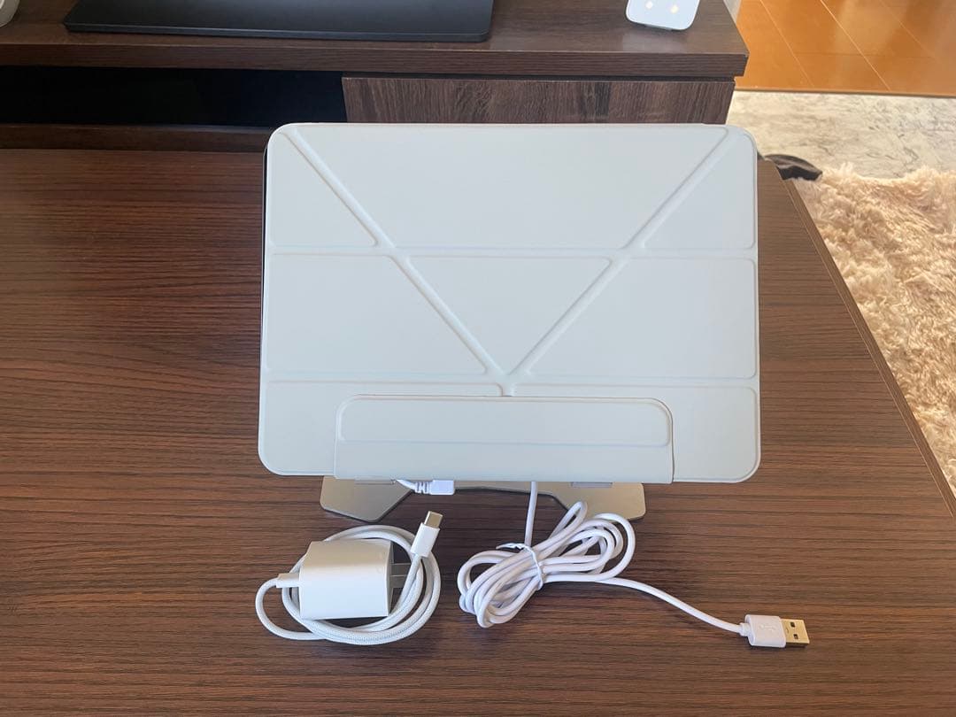 L*s様 Apple iPad Pro 11インチ スペースグレー 本体　M4