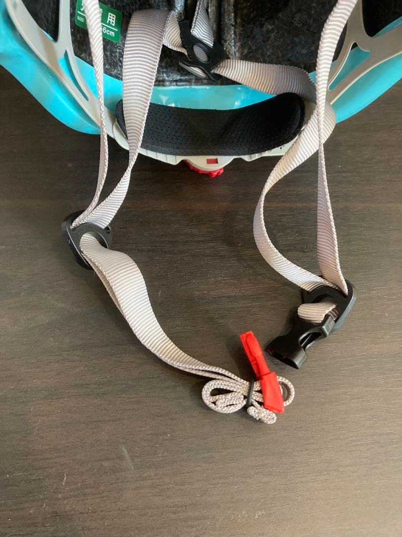 【愛知】サカモトテクノ　スパイスアップ　22インチ（女の子）ヘルメット付