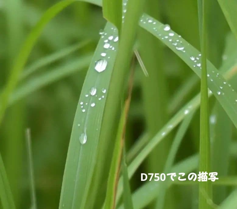 レンズ(ズーム) Nikon AF-S 70-200mm f2.8G ED VR II