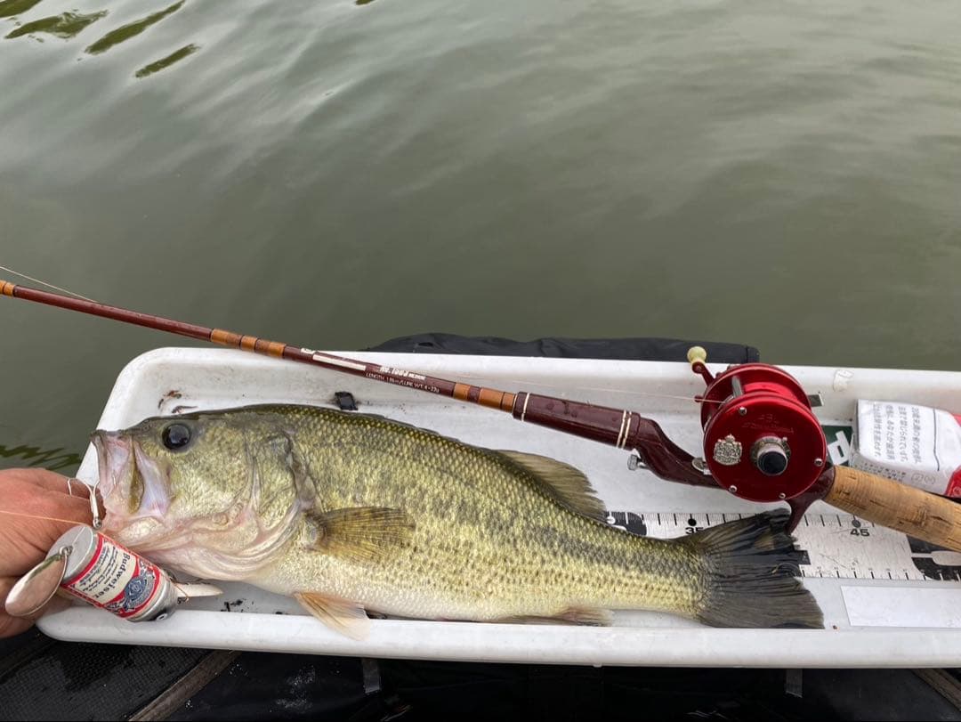 オールド　シェイクスピア　エクセレントⅡ No.1503