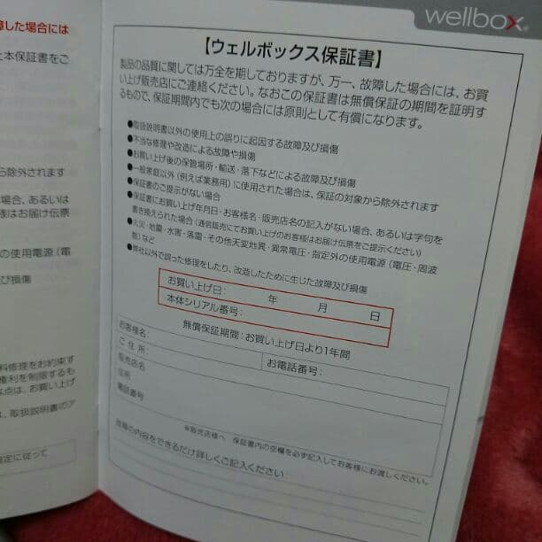 LPG ウェルボックス エンダモロジー ダイエット 痩