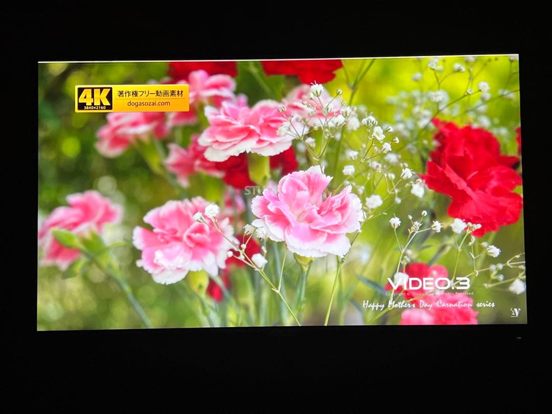 【24.5インチ / 165Hz】ASUS VG258 ゲーミングモニター