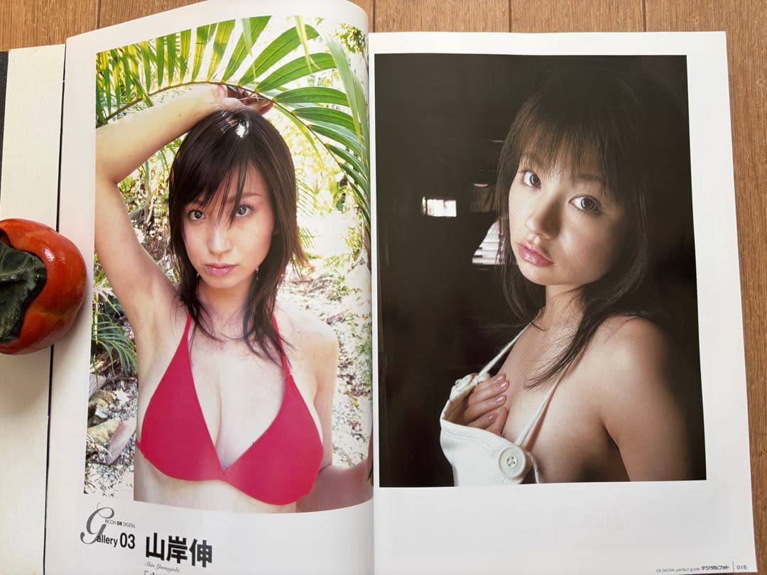 【美品】RICOH デジタルカメラGRII＋GRⅡコンプリートガイド付き