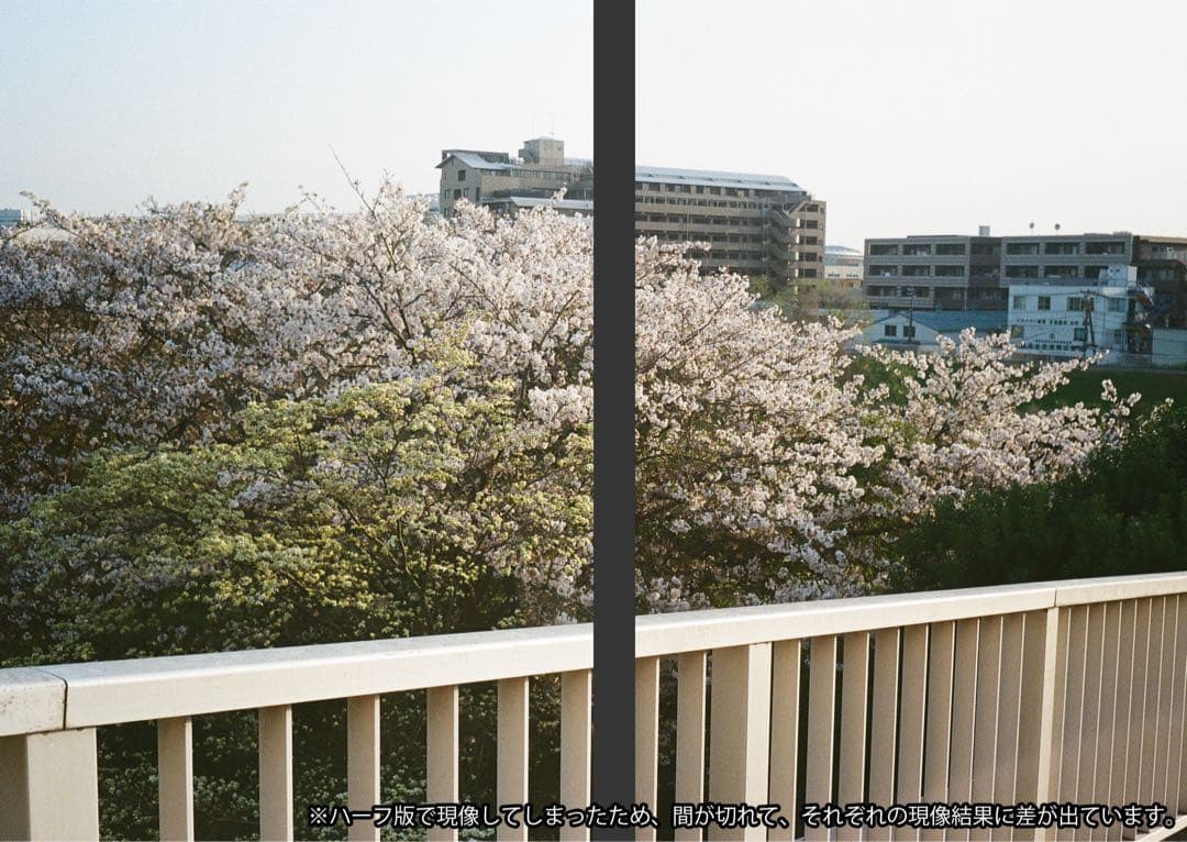 【動作保証・撮影確認済み】OLYMPUS TRIP35