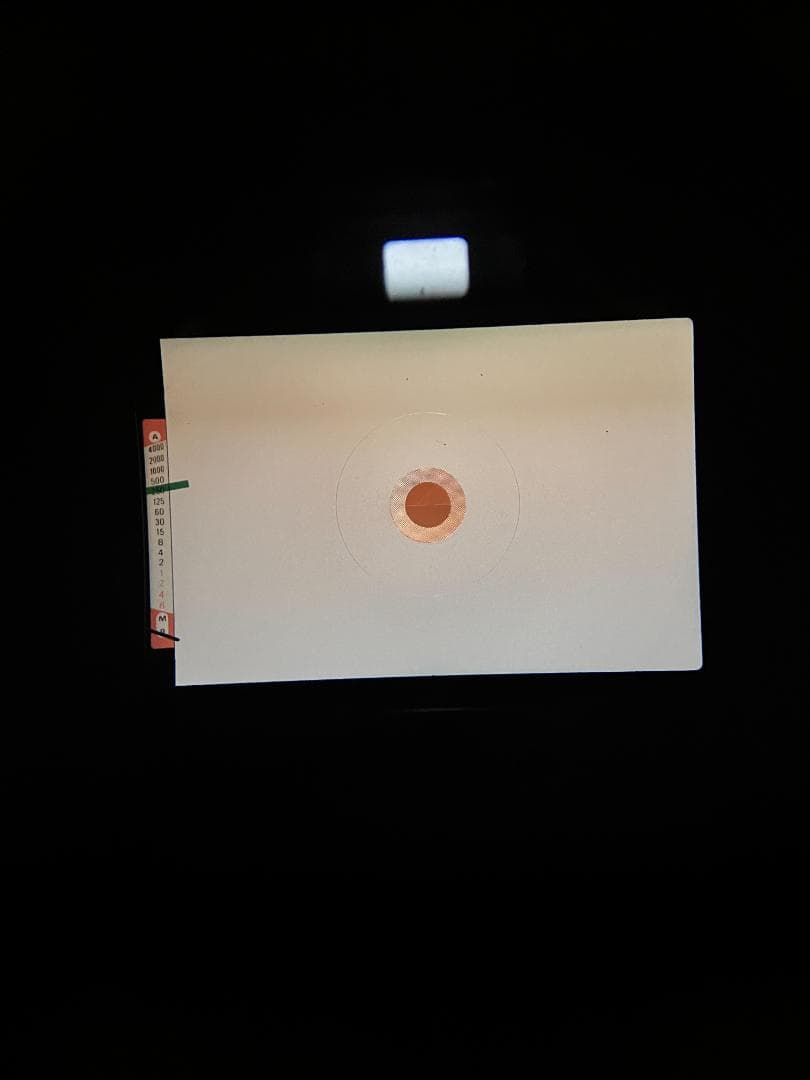 超美品 NIKON FE2 ブラック　フィルムカメラ　モルト新品交換済 M245