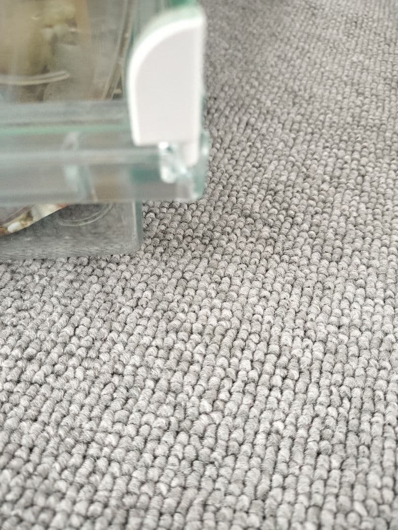 グラスハーモニー大小　餌　砂　今すぐ飼えるセット