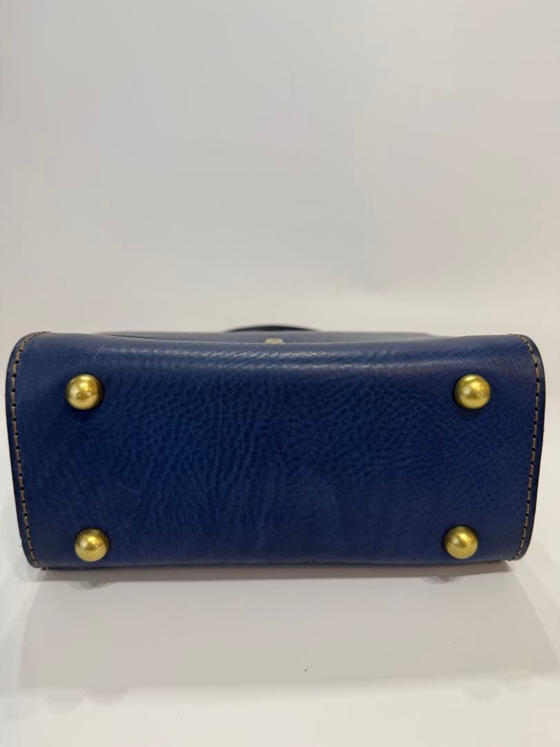 アナロジコ　analogico ドロシーバッグ　限定ブル