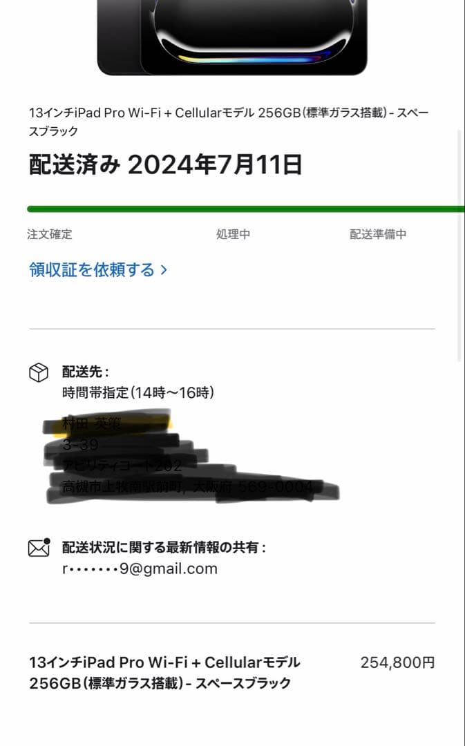 iPad Pro 13インチ(M4) Wi-Fi+Cellular 256GB