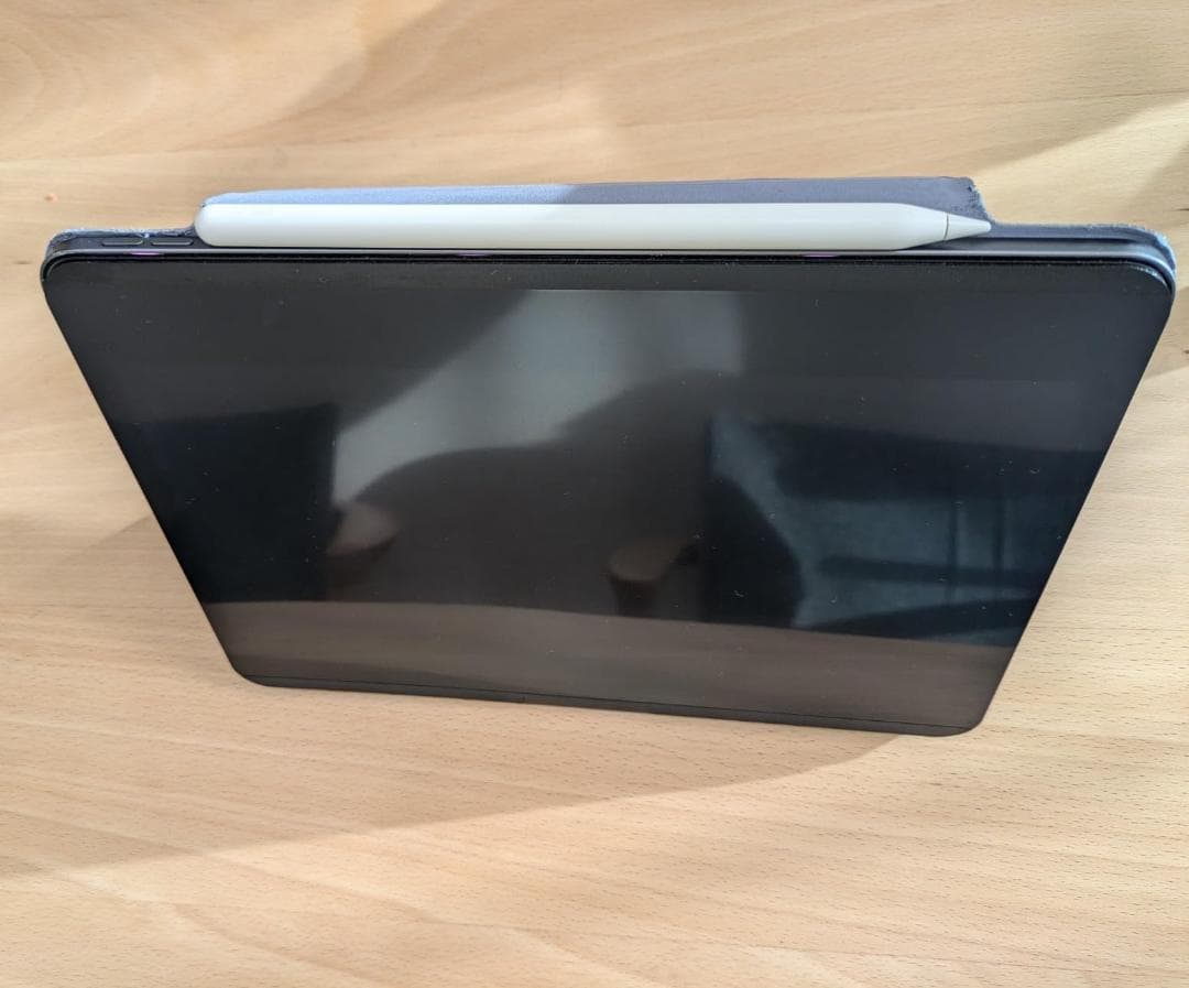 新品未開封 360度 マグネット式 覗き見防止フィルム iPad 9th 8th