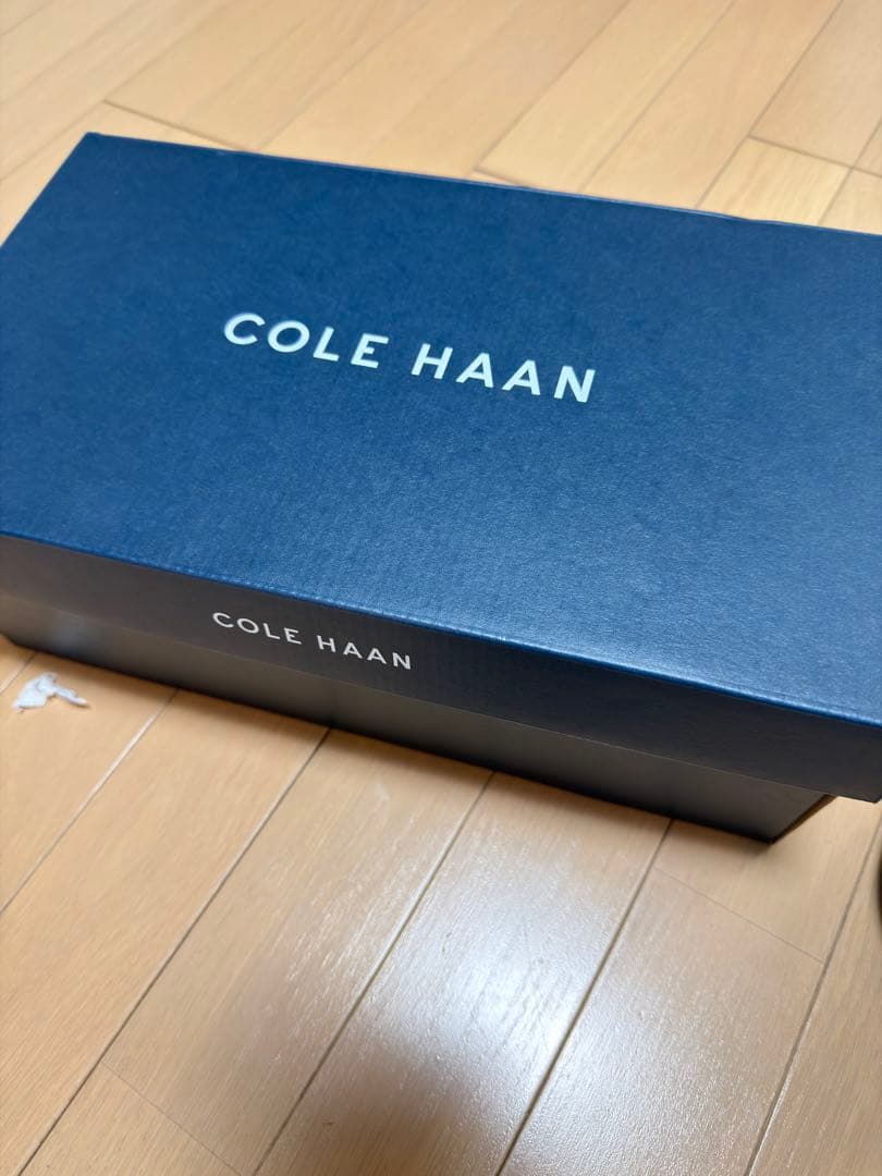 COLEHAAN グランドプロ アッシュランド ゴルフ mens 26cm