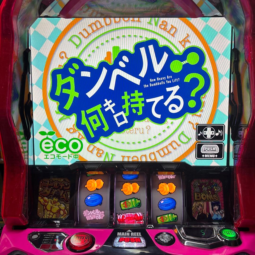 アリエルさん専用　ダンベル何キロ持てる？スマスロ簡易ユニット付き　実機