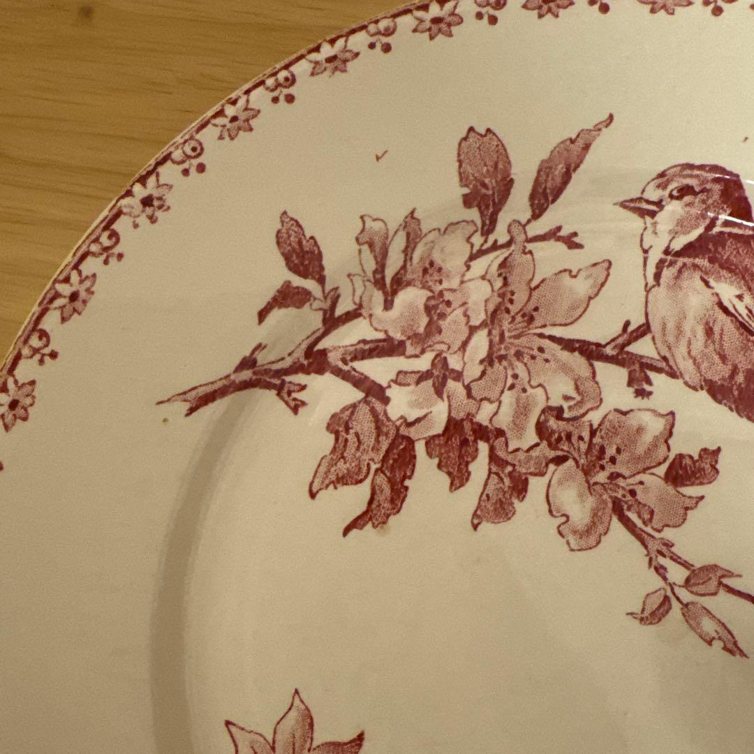 期間限定お値下げサルグミンヌFavoriシリーズ平皿