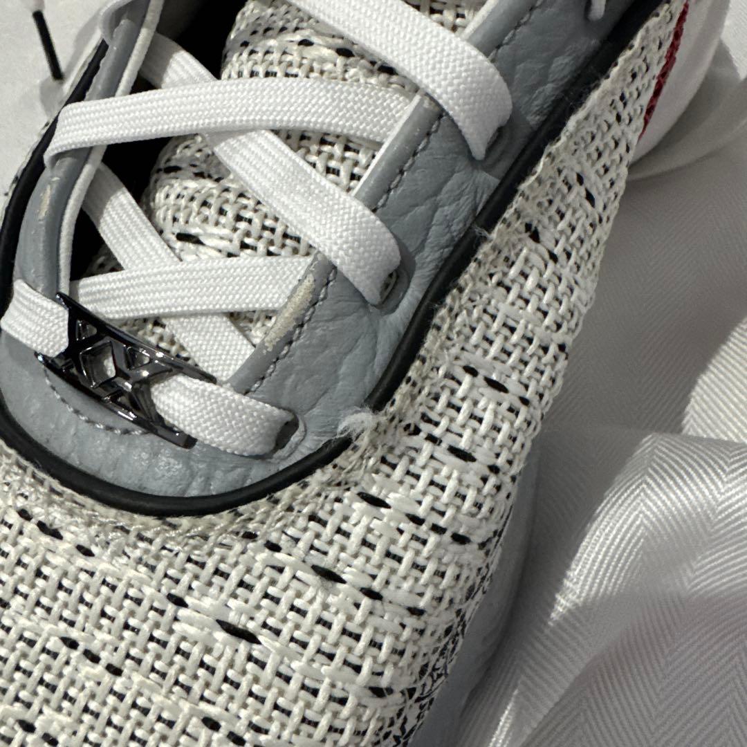 NIKE LEBRON 20 EP サイズ30cm