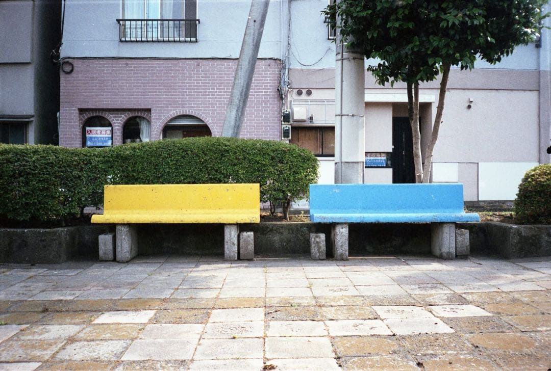 CHINON Bellami チノン　ベラミ　フィルムカメラ　作例あり