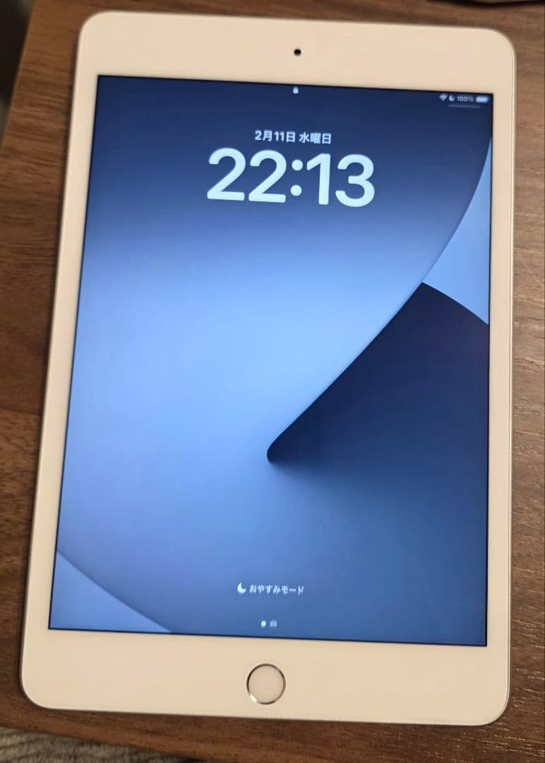 iPad mini(第５世代) Wi-Fi256GBシルバー　　 非純正ペン付き
