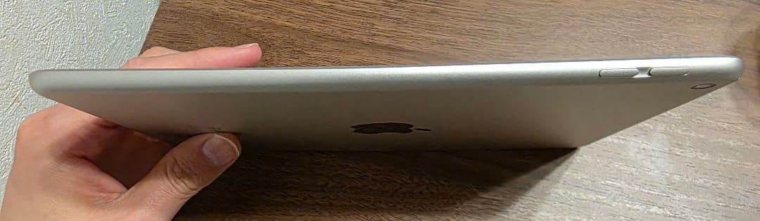 iPad mini(第５世代) Wi-Fi256GBシルバー　　 非純正ペン付き