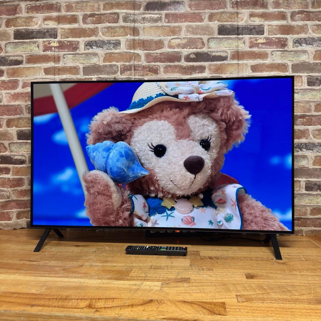 LG 55インチ 4K 有機ELテレビ OLED55A2PJA 動画アプリ搭載