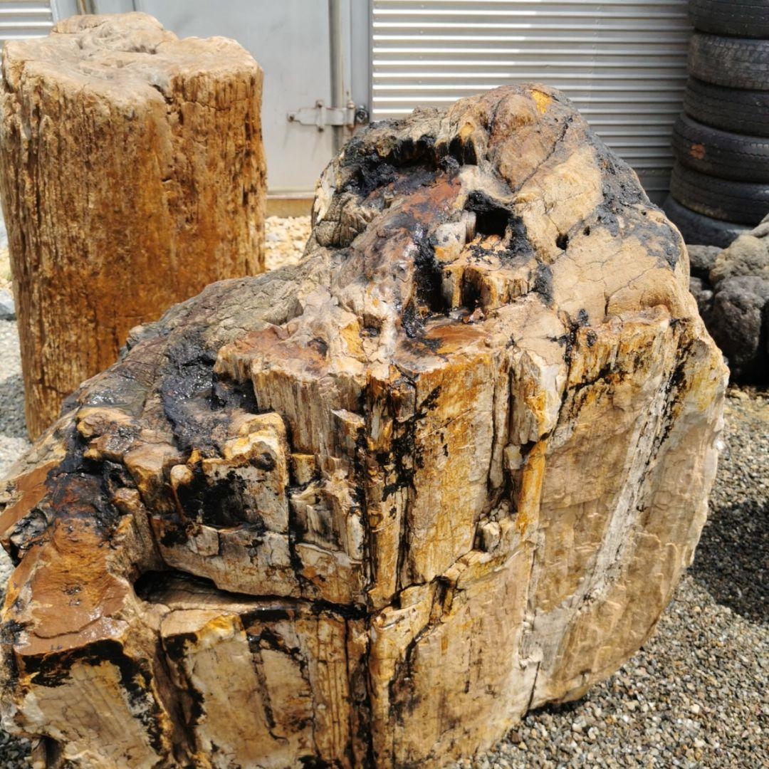 秋田産　珪化木　349キロ　木化石　庭石　石　鑑賞石　置物　オブジェ