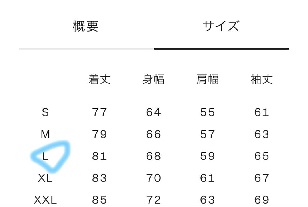 THE NORTH FACEノースフェイス　ダウン ファー付き　ドライベント　L